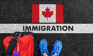Dimmigration