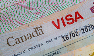 Dimmigration
