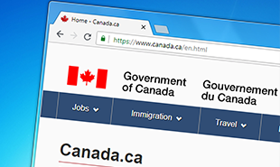 Dimmigration